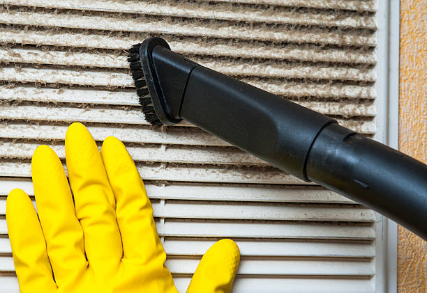 Best Air Duct Cleaning Near Me  in Olivarez, TX